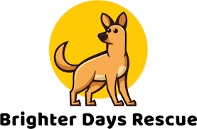 Brighter-Days-Rescue