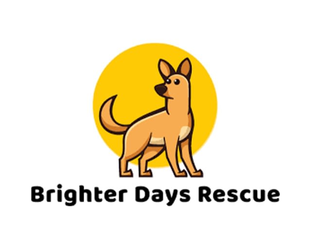 Brighter Days Rescue - Initial Fire